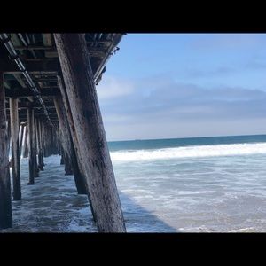 Meet your Posher, Janessa